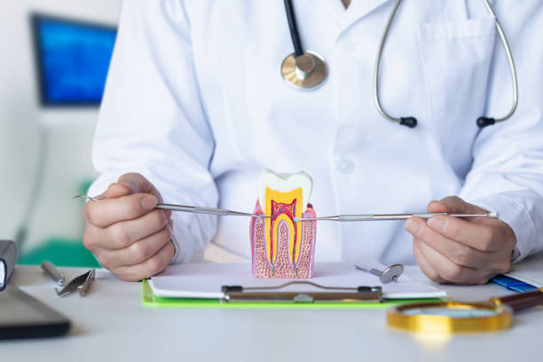 Best Emergency Dental Care for Broken or Chipped Teeth in Fort Walton Beach, FL